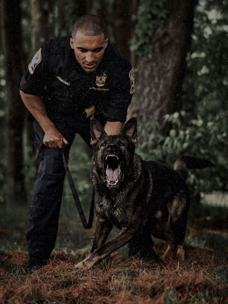 Security dog handler